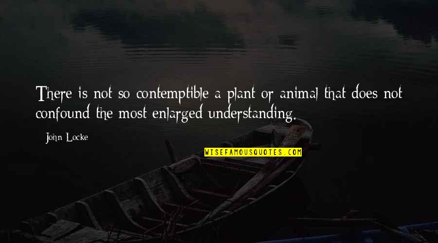 Babled Cartoon Quotes By John Locke: There is not so contemptible a plant or