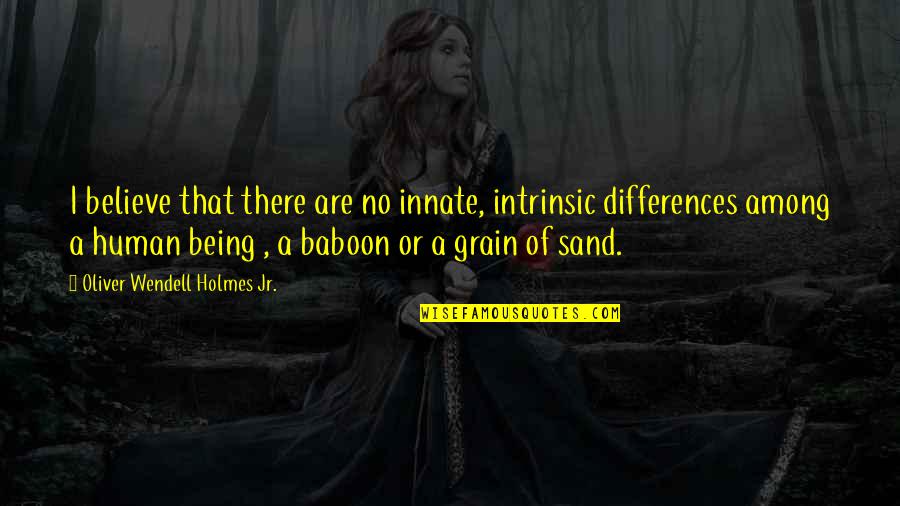 Baboon Quotes By Oliver Wendell Holmes Jr.: I believe that there are no innate, intrinsic