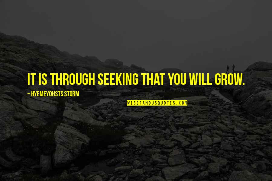 Baby After Miscarriage Quotes By Hyemeyohsts Storm: It is through seeking that you will grow.