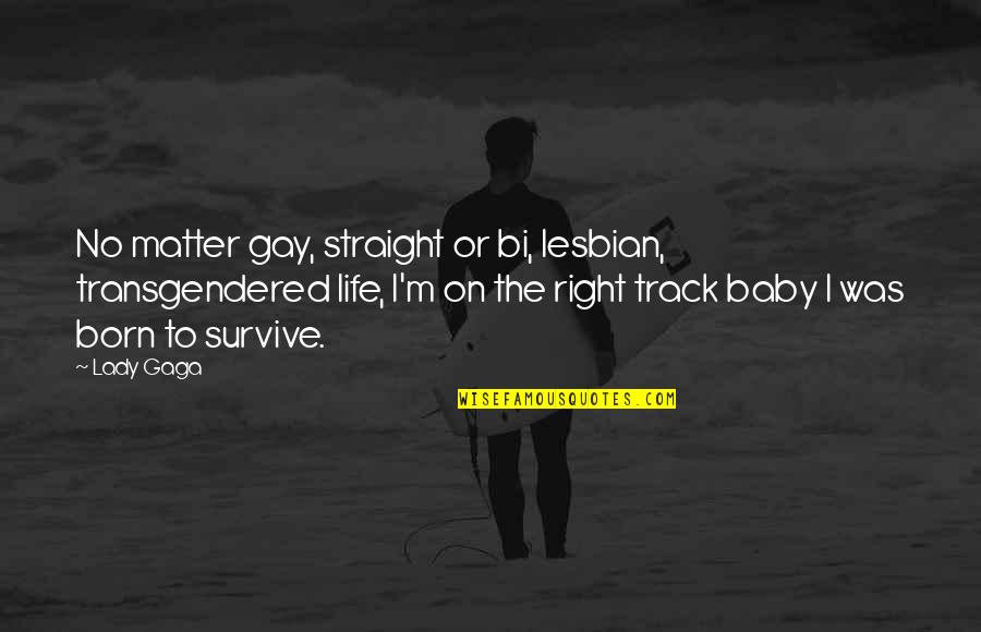Baby Born Quotes By Lady Gaga: No matter gay, straight or bi, lesbian, transgendered