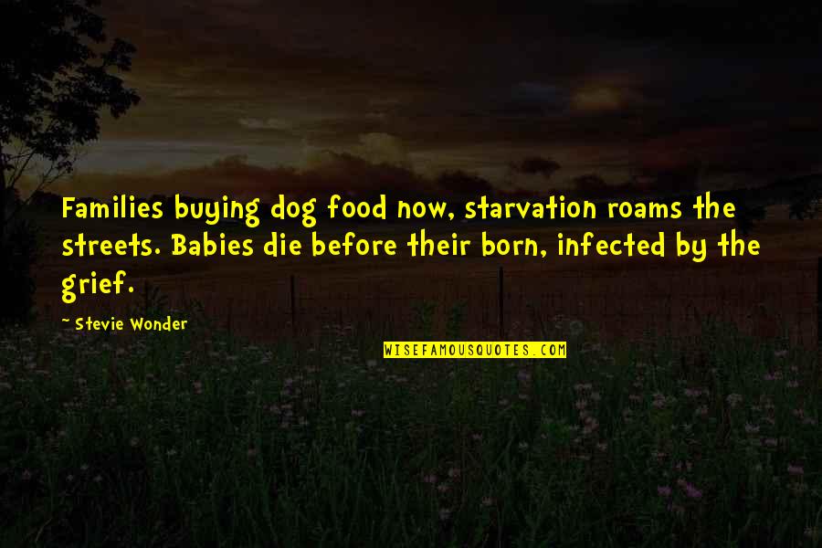 Baby Born Quotes By Stevie Wonder: Families buying dog food now, starvation roams the