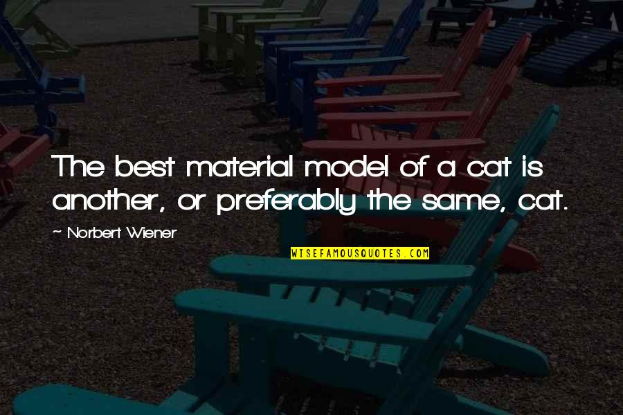Baby Born Sleeping Quotes By Norbert Wiener: The best material model of a cat is