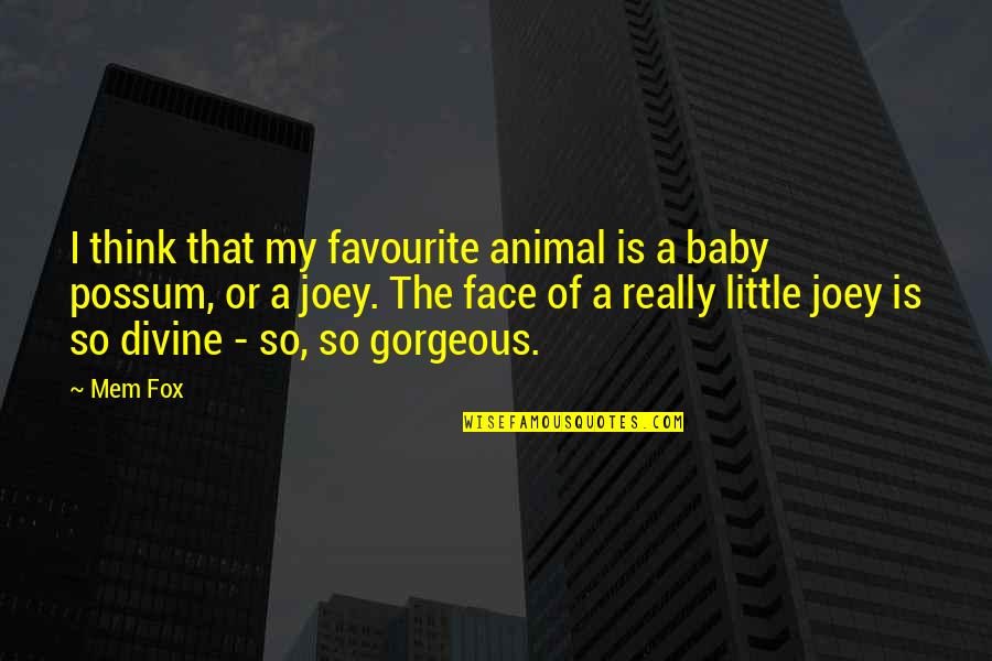Baby Fox Quotes By Mem Fox: I think that my favourite animal is a Baby Fox Quotes By Mem Fox: I think that my favourite animal is a