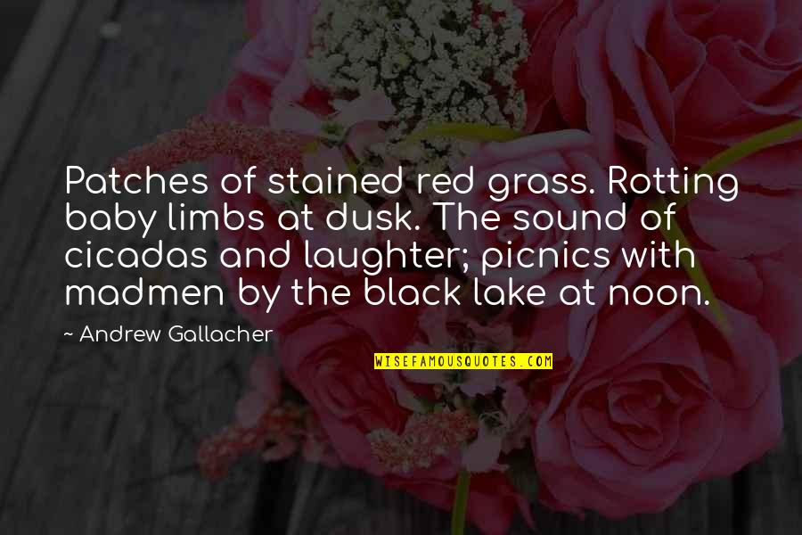 Baby Laughter Quotes By Andrew Gallacher: Patches of stained red grass. Rotting baby limbs