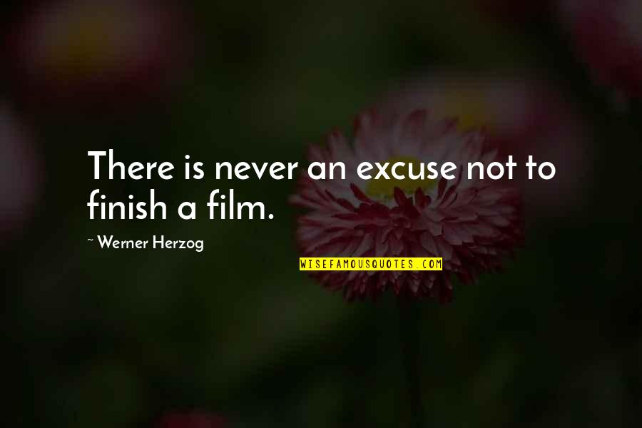 Baby Mohawk Quotes By Werner Herzog: There is never an excuse not to finish