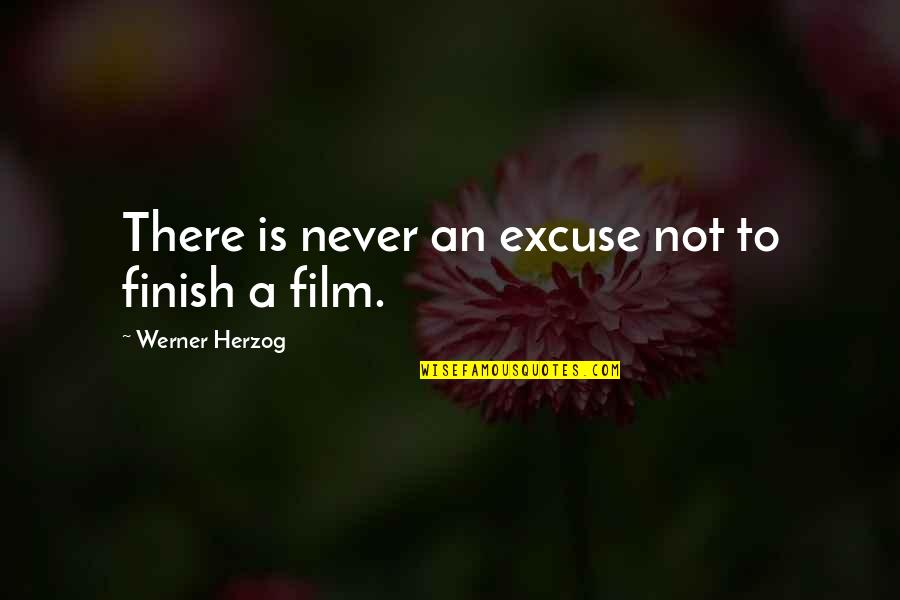 Baby Mohawk Quotes By Werner Herzog: There is never an excuse not to finish Baby Mohawk Quotes By Werner Herzog: There is never an excuse not to finish
