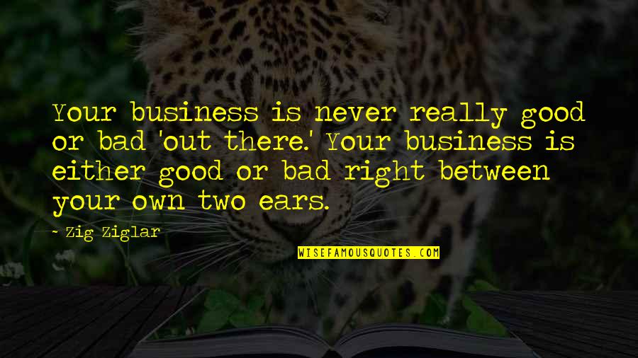 Baby Mohawk Quotes By Zig Ziglar: Your business is never really good or bad