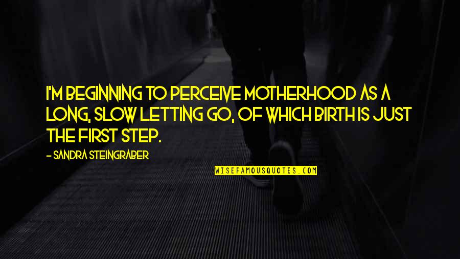 Baby Step Quotes By Sandra Steingraber: I'm beginning to perceive motherhood as a long,