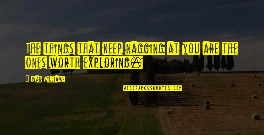 Babys Arrival Quotes By Evan Williams: The things that keep nagging at you are