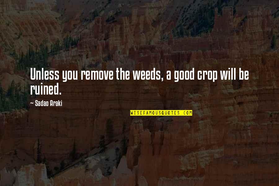 Bacarditeach Quotes By Sadao Araki: Unless you remove the weeds, a good crop