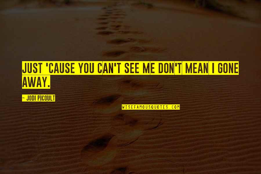 Bachora Quotes By Jodi Picoult: Just 'cause you can't see me don't mean Bachora Quotes By Jodi Picoult: Just 'cause you can't see me don't mean