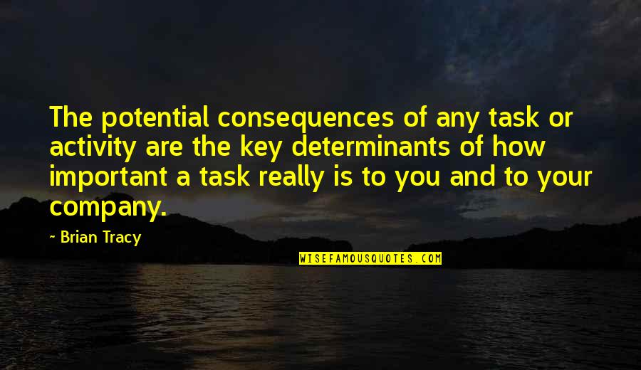 Bachus And Schanker Quotes By Brian Tracy: The potential consequences of any task or activity