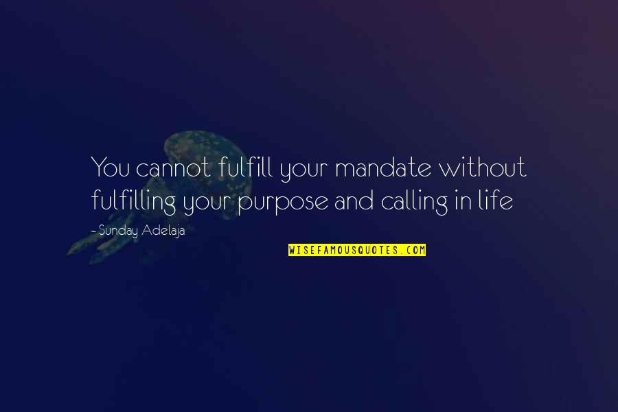 Bachus Quotes By Sunday Adelaja: You cannot fulfill your mandate without fulfilling your