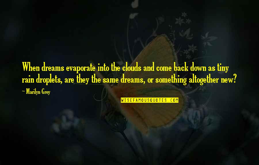 Back Down Quotes By Marilyn Grey: When dreams evaporate into the clouds and come