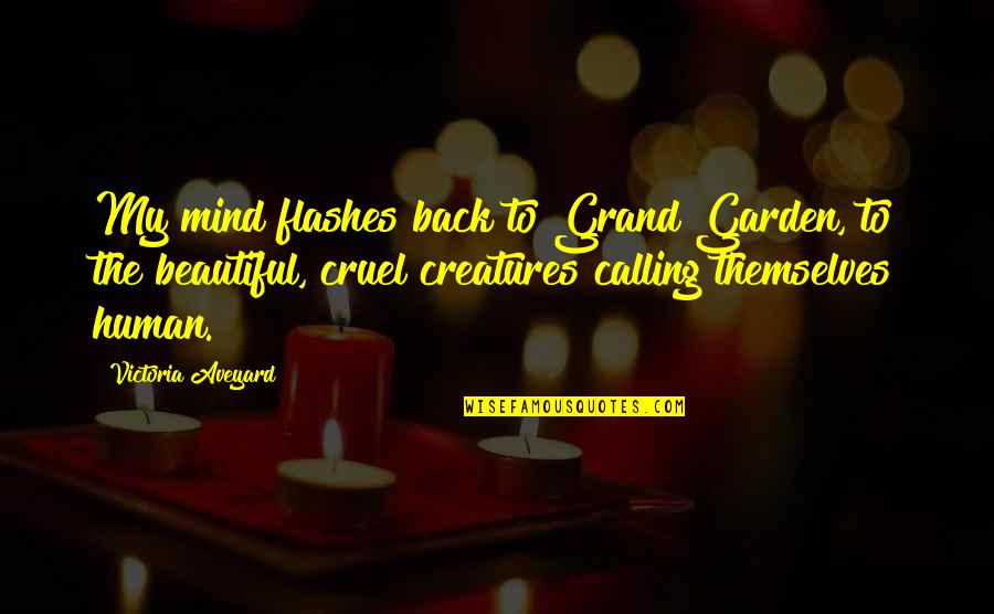 Back Garden Quotes By Victoria Aveyard: My mind flashes back to Grand Garden, to Back Garden Quotes By Victoria Aveyard: My mind flashes back to Grand Garden, to