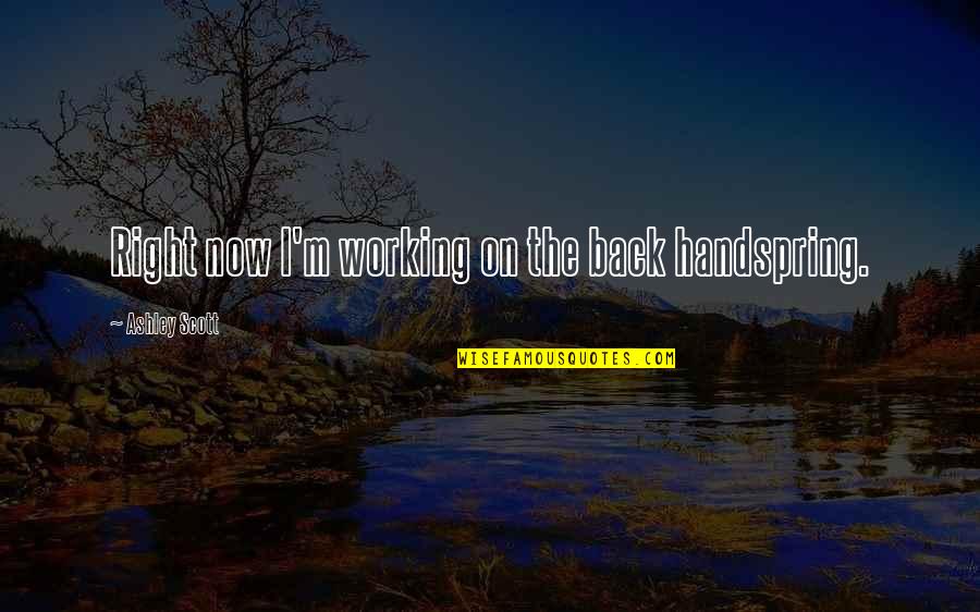 Back Handspring Quotes By Ashley Scott: Right now I'm working on the back handspring.