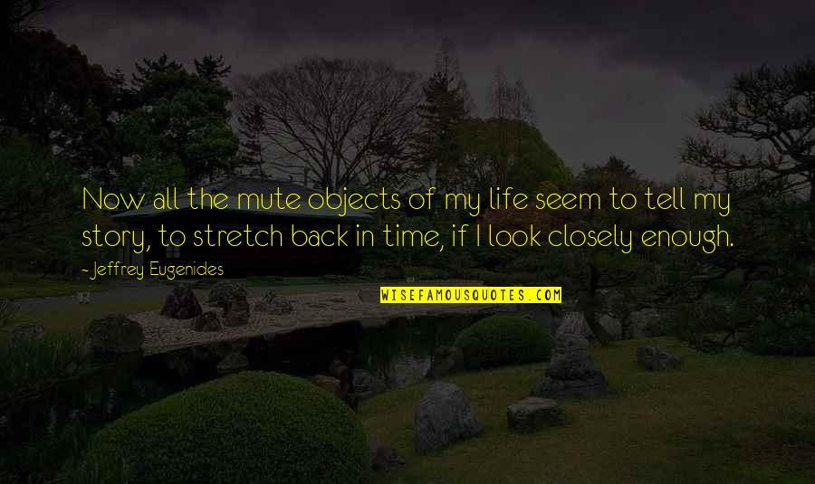Back In Life Quotes By Jeffrey Eugenides: Now all the mute objects of my life