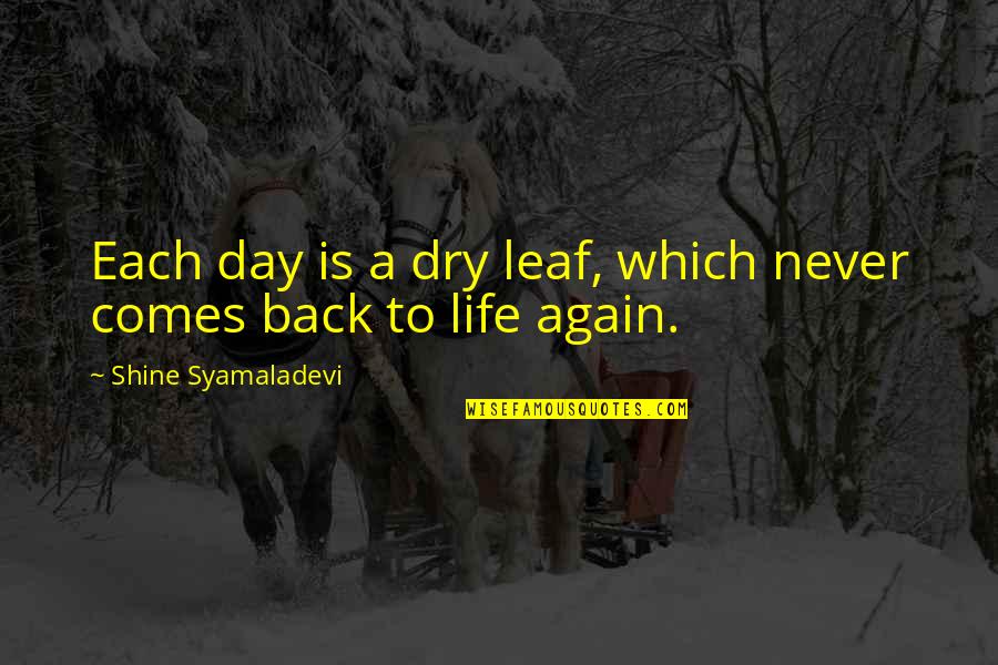 Back In Life Quotes By Shine Syamaladevi: Each day is a dry leaf, which never
