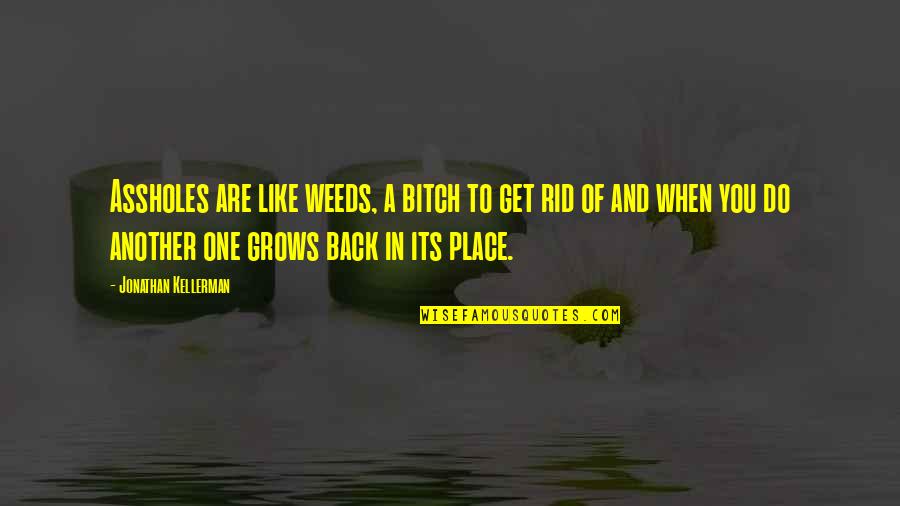 Back In Reality Quotes By Jonathan Kellerman: Assholes are like weeds, a bitch to get
