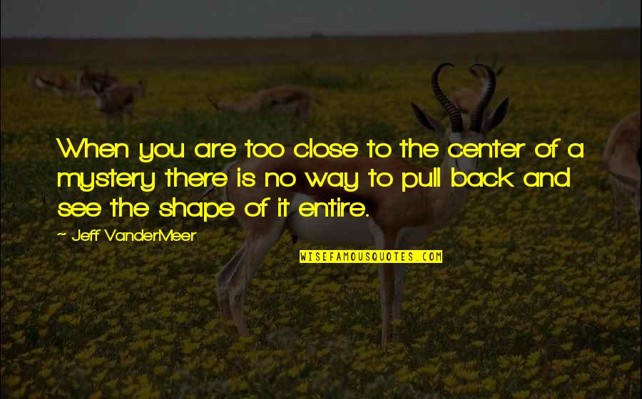 Back In Shape Quotes By Jeff VanderMeer: When you are too close to the center