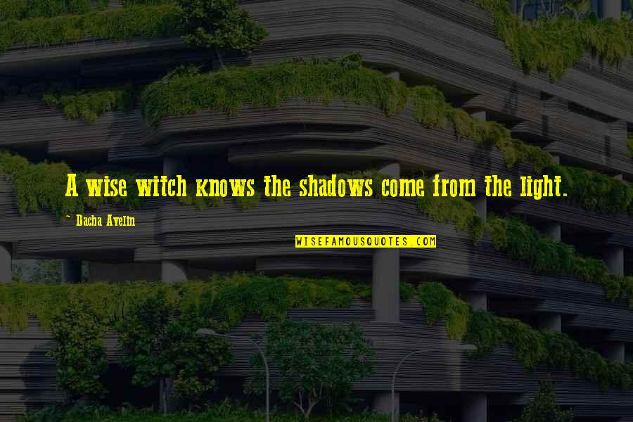 Back My Old Ways Quotes By Dacha Avelin: A wise witch knows the shadows come from