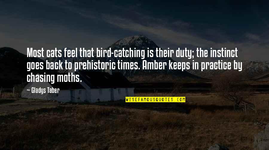 Back On Duty Quotes By Gladys Taber: Most cats feel that bird-catching is their duty; Back On Duty Quotes By Gladys Taber: Most cats feel that bird-catching is their duty;