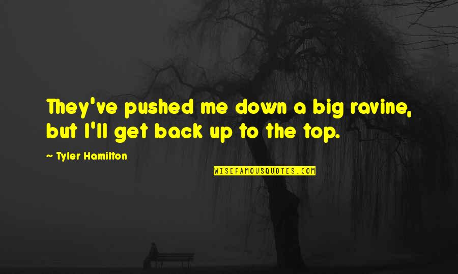 Back On Top Quotes By Tyler Hamilton: They've pushed me down a big ravine, but