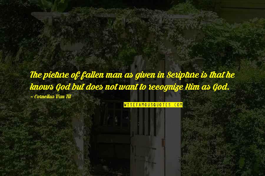Back Porch Quotes By Cornelius Van Til: The picture of fallen man as given in