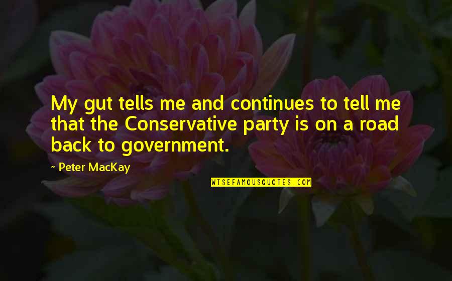Back Road Quotes By Peter MacKay: My gut tells me and continues to tell