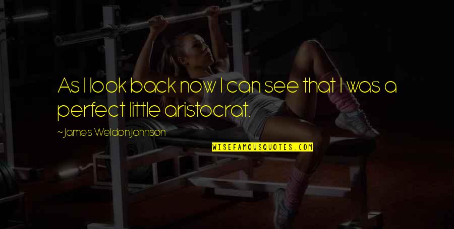 Back See Quotes By James Weldon Johnson: As I look back now I can see Back See Quotes By James Weldon Johnson: As I look back now I can see