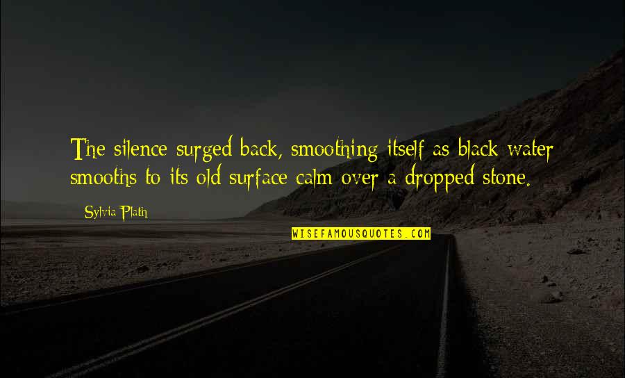 Back To Black Quotes By Sylvia Plath: The silence surged back, smoothing itself as black