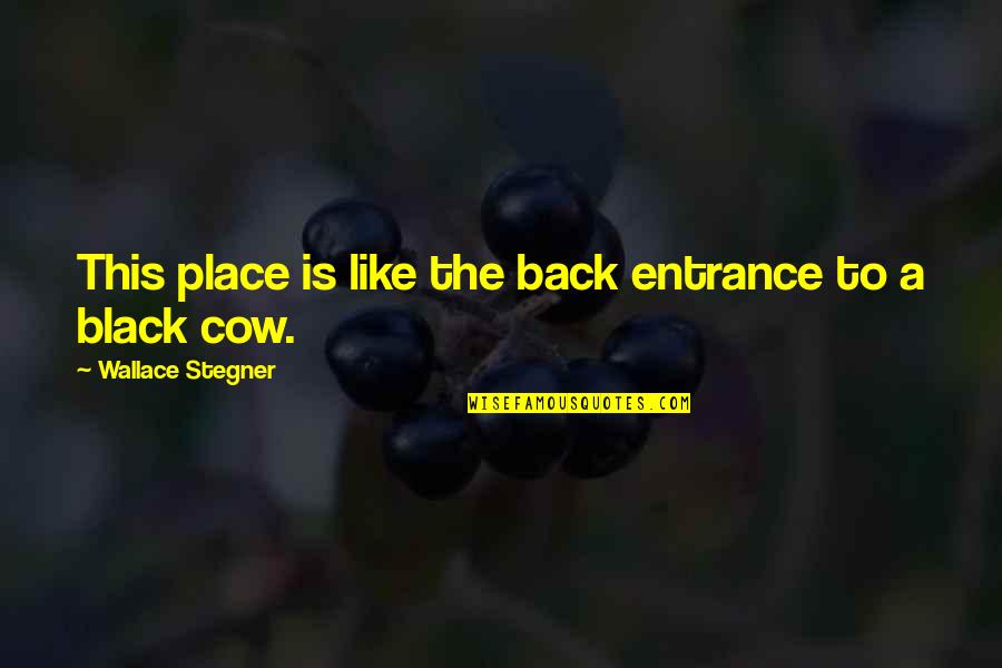 Back To Black Quotes By Wallace Stegner: This place is like the back entrance to