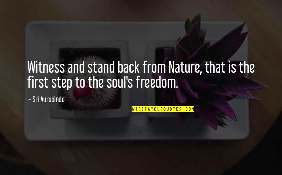 Back To Nature Quotes By Sri Aurobindo: Witness and stand back from Nature, that is