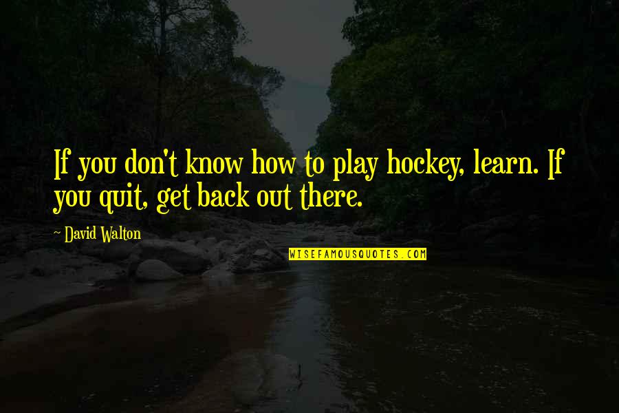Back To Play Quotes By David Walton: If you don't know how to play hockey,