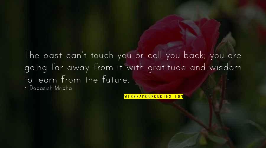 Back To The Future Life Quotes By Debasish Mridha: The past can't touch you or call you