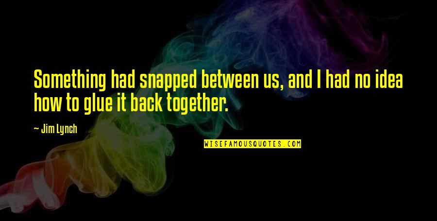 Back Together Quotes By Jim Lynch: Something had snapped between us, and I had