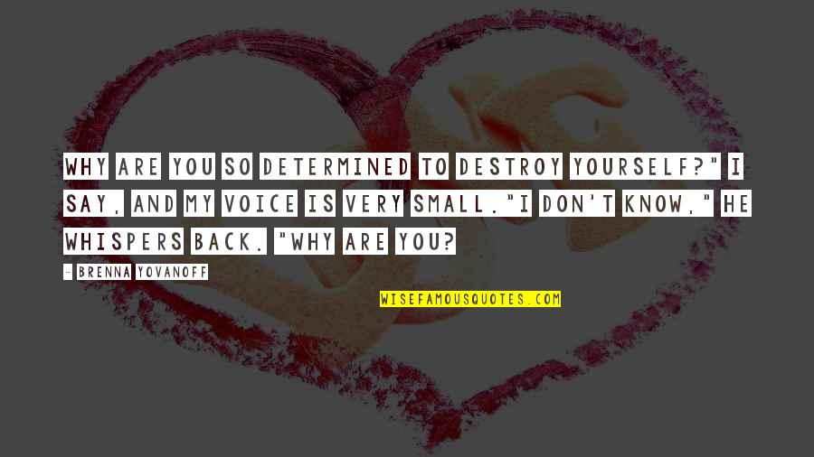 Back Yourself Quotes By Brenna Yovanoff: Why are you so determined to destroy yourself?"