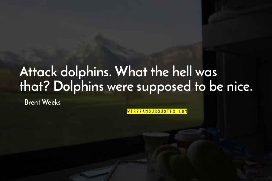 Backbends Quotes By Brent Weeks: Attack dolphins. What the hell was that? Dolphins