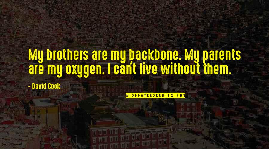 Backbone Brother Quotes By David Cook: My brothers are my backbone. My parents are