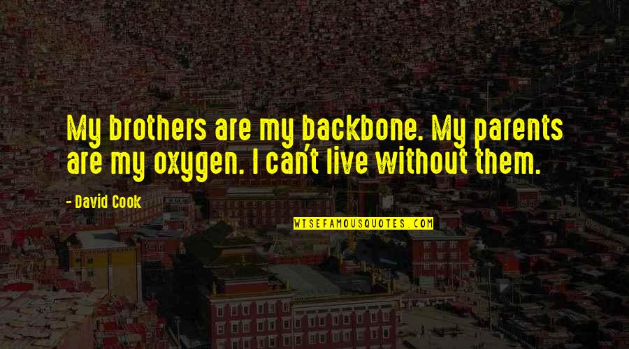 Backbone Quotes By David Cook: My brothers are my backbone. My parents are