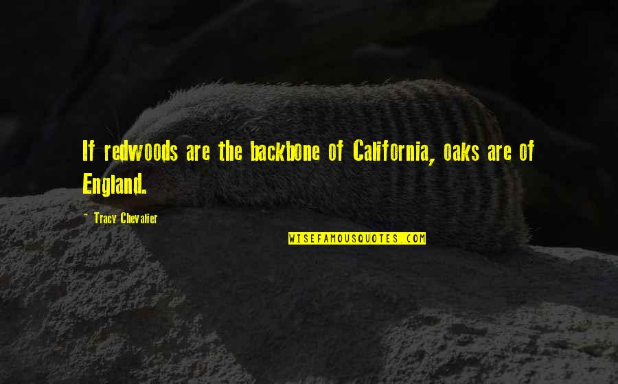 Backbone Quotes By Tracy Chevalier: If redwoods are the backbone of California, oaks