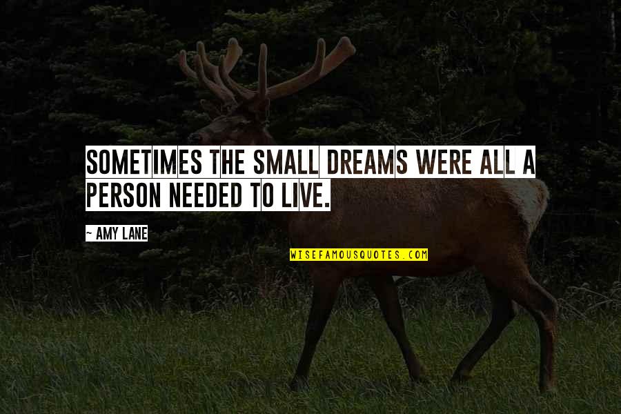 Backfire Effect Quotes By Amy Lane: Sometimes the small dreams were all a person