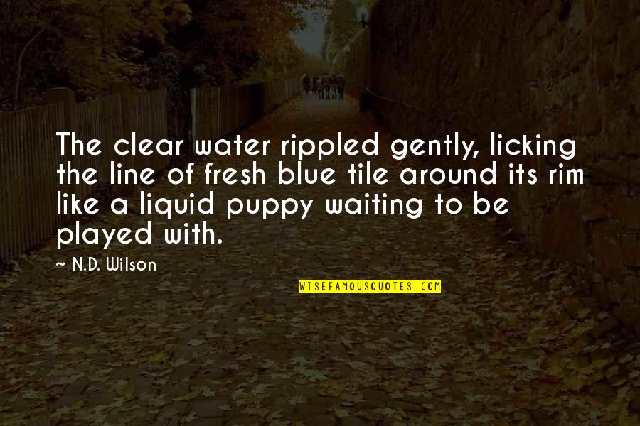 Backpacked Quotes By N.D. Wilson: The clear water rippled gently, licking the line