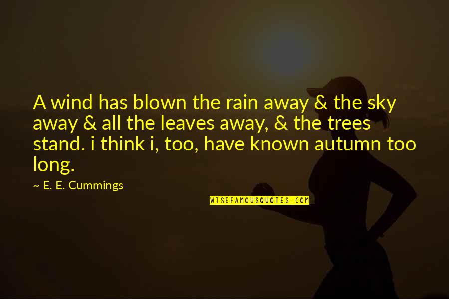 Backpedalling Quotes By E. E. Cummings: A wind has blown the rain away &