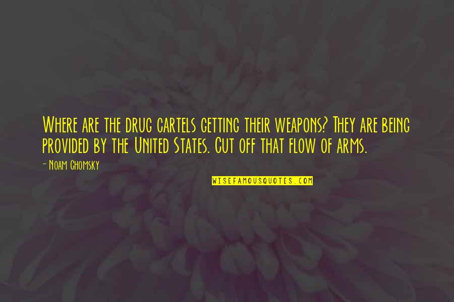 Backput Quotes By Noam Chomsky: Where are the drug cartels getting their weapons?