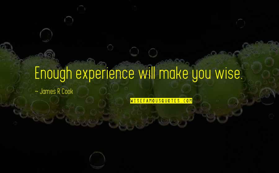 Backseats Quotes By James R Cook: Enough experience will make you wise.