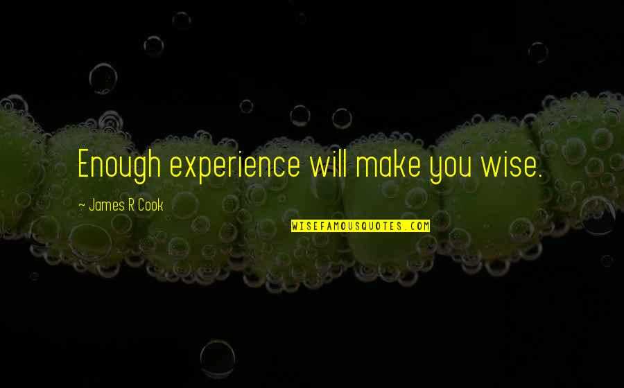 Backseats Quotes By James R Cook: Enough experience will make you wise. Backseats Quotes By James R Cook: Enough experience will make you wise.