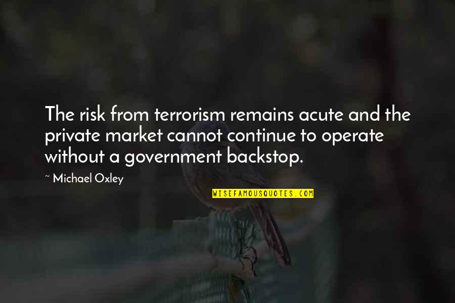 Backstop Quotes By Michael Oxley: The risk from terrorism remains acute and the