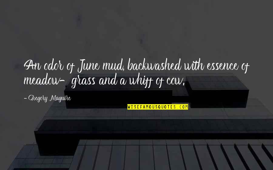 Backwashed Quotes By Gregory Maguire: An odor of June mud, backwashed with essence