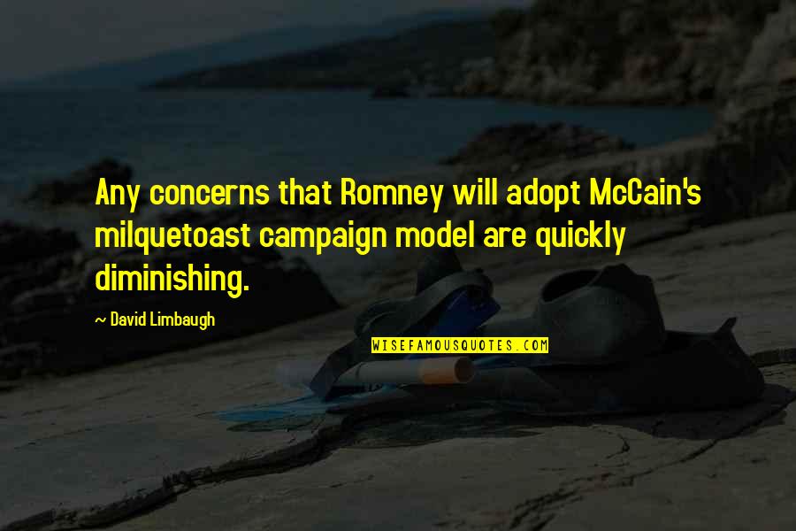 Backyard Camping Quotes By David Limbaugh: Any concerns that Romney will adopt McCain's milquetoast